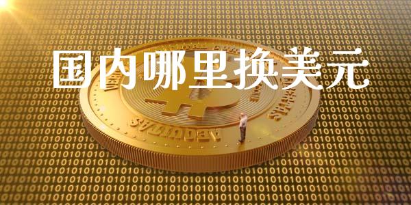 国内哪里换美元_https://wap.jnbaishite.cn_金融资讯_第1张