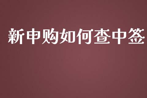 新申购如何查中签_https://wap.jnbaishite.cn_理财投资_第1张