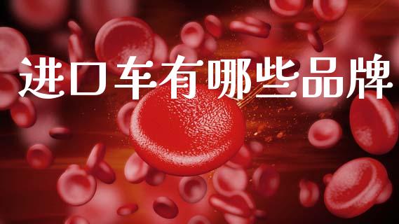进口车有哪些品牌_https://wap.jnbaishite.cn_期货资讯_第1张