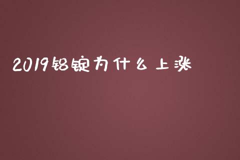 2019铝锭为什么上涨_https://wap.jnbaishite.cn_金融资讯_第1张