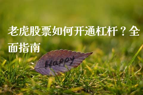 老虎股票如何开通杠杆？全面指南_https://wap.jnbaishite.cn_金融资讯_第1张