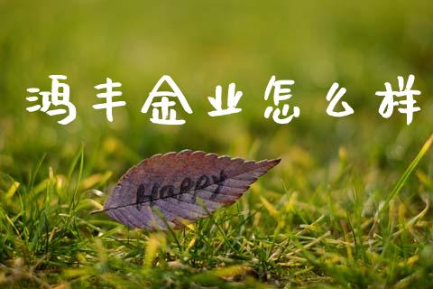 鸿丰金业怎么样_https://wap.jnbaishite.cn_理财投资_第1张
