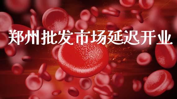 郑州批发市场延迟开业_https://wap.jnbaishite.cn_理财投资_第1张