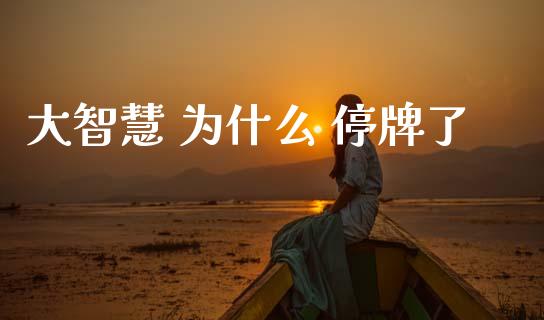 大智慧 为什么 停牌了_https://wap.jnbaishite.cn_全球财富_第1张