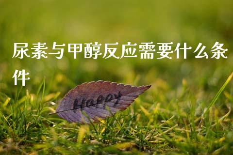 尿素与甲醇反应需要什么条件_https://wap.jnbaishite.cn_期货资讯_第1张