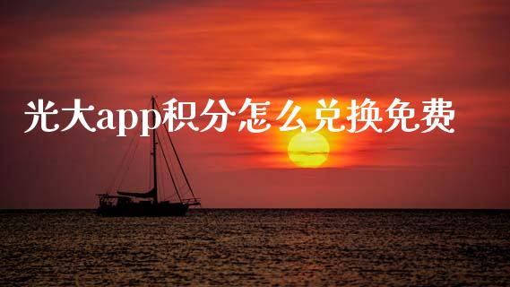 光大app积分怎么兑换免费_https://wap.jnbaishite.cn_理财投资_第1张