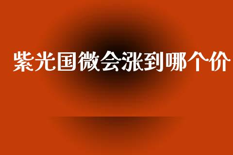 紫光国微会涨到哪个价_https://wap.jnbaishite.cn_金融资讯_第1张