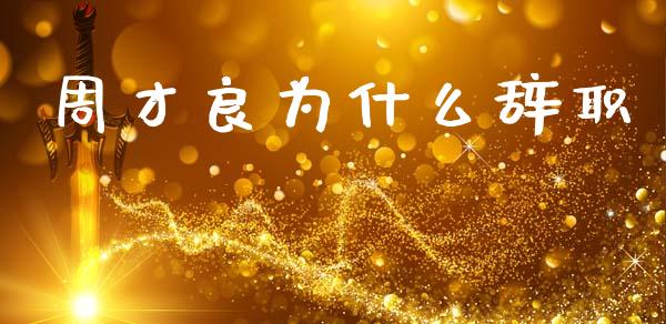 周才良为什么辞职_https://wap.jnbaishite.cn_理财投资_第1张