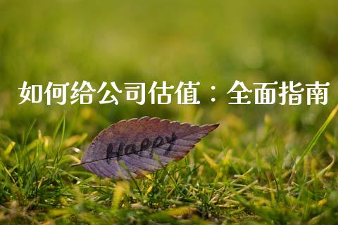 如何给公司估值：全面指南_https://wap.jnbaishite.cn_全球财富_第1张
