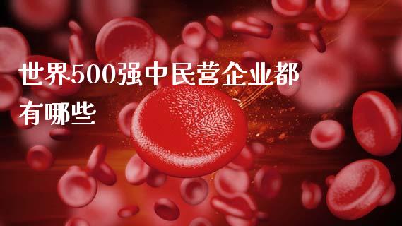 世界500强中民营企业都有哪些_https://wap.jnbaishite.cn_期货资讯_第1张