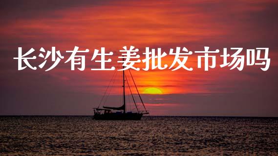 长沙有生姜批发市场吗_https://wap.jnbaishite.cn_理财投资_第1张