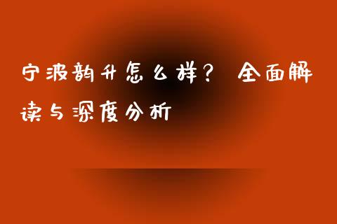 宁波韵升怎么样？ 全面解读与深度分析_https://wap.jnbaishite.cn_理财投资_第1张