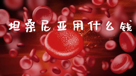 坦桑尼亚用什么钱_https://wap.jnbaishite.cn_理财投资_第1张