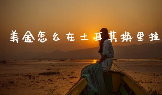 美金怎么在土耳其换里拉_https://wap.jnbaishite.cn_理财投资_第1张