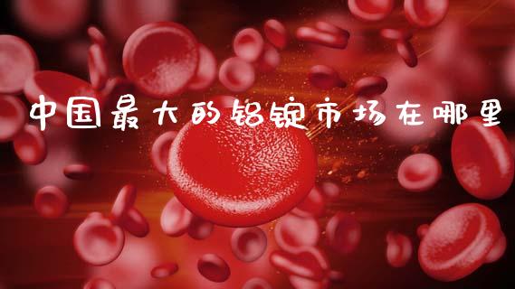 中国最大的铝锭市场在哪里_https://wap.jnbaishite.cn_期货资讯_第1张