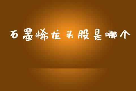 石墨烯龙头股是哪个_https://wap.jnbaishite.cn_全球财富_第1张