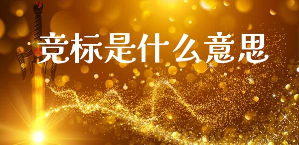 竞标是什么意思_https://wap.jnbaishite.cn_理财投资_第1张