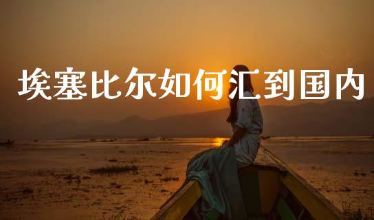 埃塞比尔如何汇到国内_https://wap.jnbaishite.cn_金融资讯_第1张
