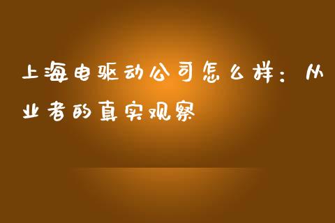 上海电驱动公司怎么样：从业者的真实观察_https://wap.jnbaishite.cn_全球财富_第1张