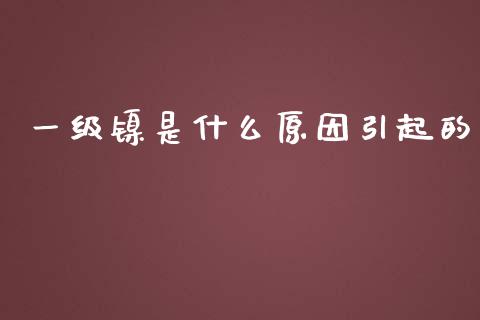 一级镍是什么原因引起的_https://wap.jnbaishite.cn_期货资讯_第1张