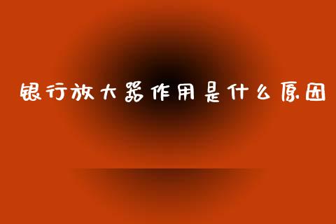 银行放大器作用是什么原因_https://wap.jnbaishite.cn_理财投资_第1张
