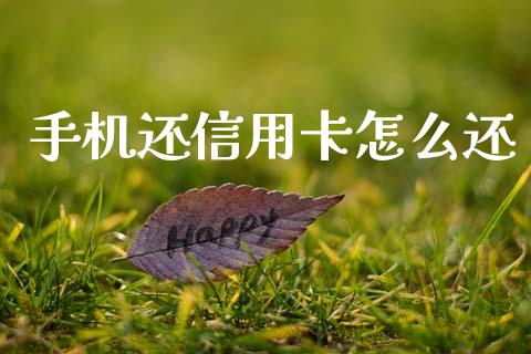 手机还信用卡怎么还_https://wap.jnbaishite.cn_金融资讯_第1张