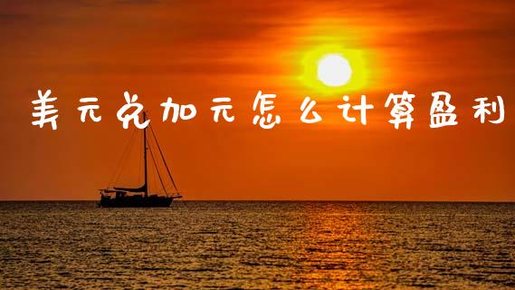 美元兑加元怎么计算盈利_https://wap.jnbaishite.cn_理财投资_第1张