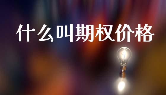 什么叫期权价格_https://wap.jnbaishite.cn_理财投资_第1张