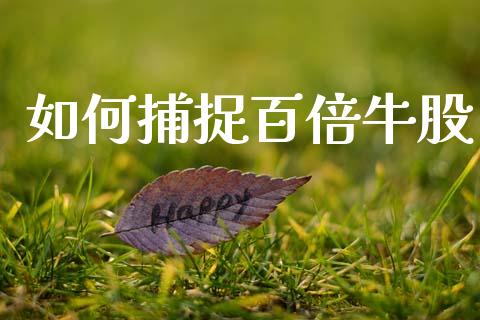 如何捕捉百倍牛股_https://wap.jnbaishite.cn_金融资讯_第1张