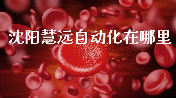 沈阳慧远自动化在哪里_https://wap.jnbaishite.cn_理财投资_第1张