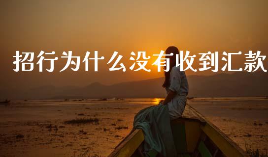 招行为什么没有收到汇款_https://wap.jnbaishite.cn_期货资讯_第1张