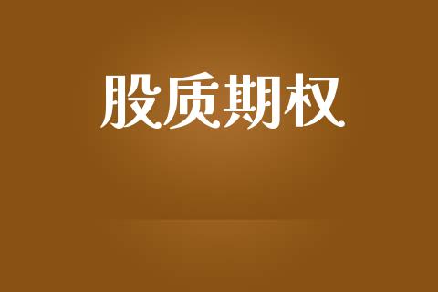 股质期权_https://wap.jnbaishite.cn_理财投资_第1张