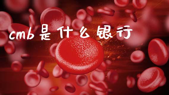 cmb是什么银行_https://wap.jnbaishite.cn_期货资讯_第1张