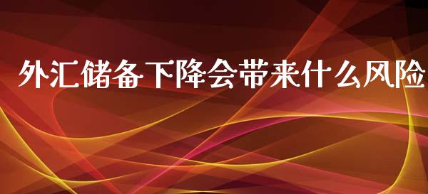外汇储备下降会带来什么风险_https://wap.jnbaishite.cn_理财投资_第1张