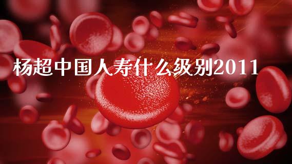 杨超中国人寿什么级别2011_https://wap.jnbaishite.cn_理财投资_第1张