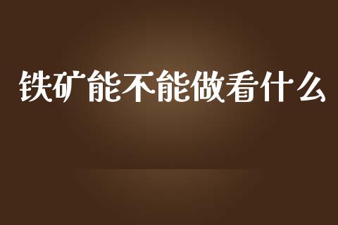 铁矿能不能做看什么_https://wap.jnbaishite.cn_金融资讯_第1张
