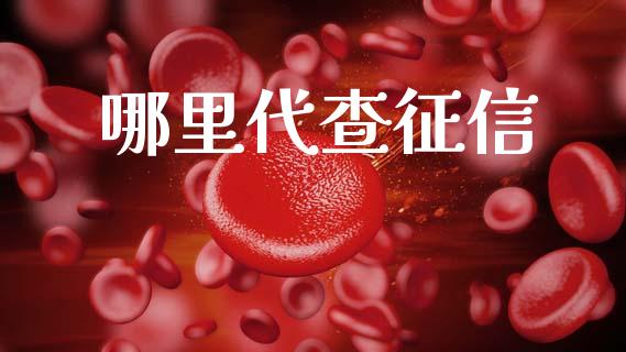 哪里代查征信_https://wap.jnbaishite.cn_全球财富_第1张