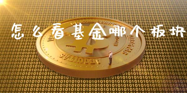 怎么看基金哪个板块_https://wap.jnbaishite.cn_全球财富_第1张