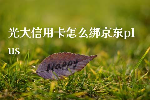 光大信用卡怎么绑京东plus_https://wap.jnbaishite.cn_理财投资_第1张
