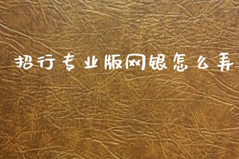 招行专业版网银怎么弄_https://wap.jnbaishite.cn_金融资讯_第1张