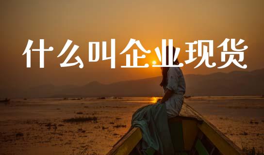 什么叫企业现货_https://wap.jnbaishite.cn_全球财富_第1张