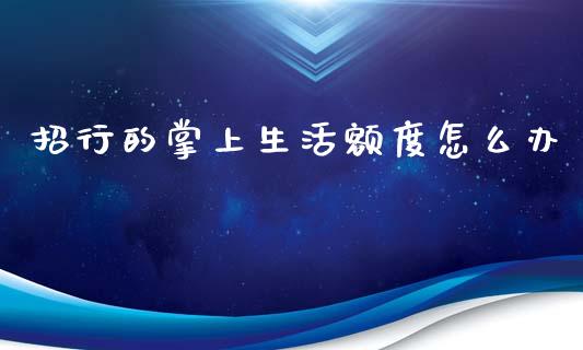 招行的掌上生活额度怎么办_https://wap.jnbaishite.cn_金融资讯_第1张