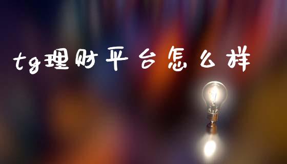 tg理财平台怎么样_https://wap.jnbaishite.cn_理财投资_第1张
