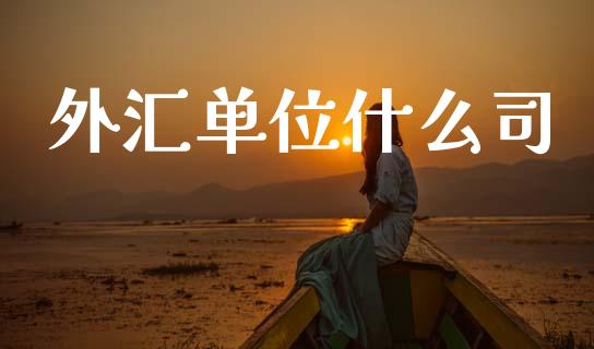 外汇单位什么司_https://wap.jnbaishite.cn_金融资讯_第1张
