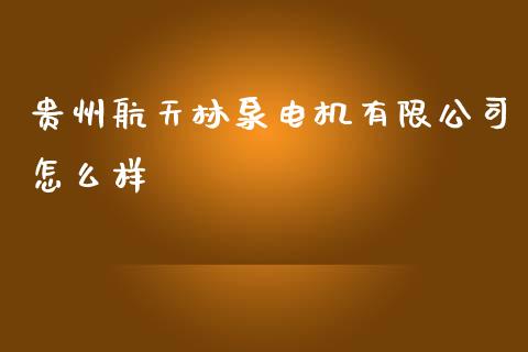 贵州航天林泉电机有限公司怎么样_https://wap.jnbaishite.cn_全球财富_第1张