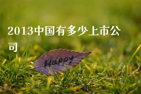 2013中国有多少上市公司_https://wap.jnbaishite.cn_全球财富_第1张