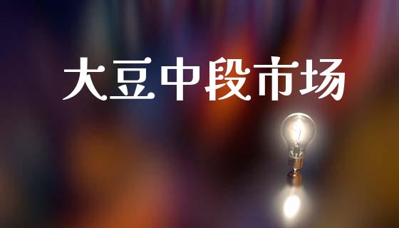 大豆中段市场_https://wap.jnbaishite.cn_理财投资_第1张