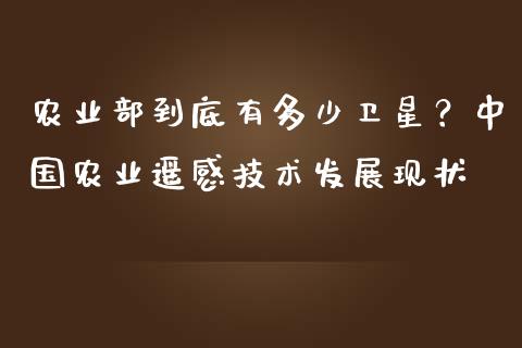 农业部到底有多少卫星？中国农业遥感技术发展现状_https://wap.jnbaishite.cn_金融资讯_第1张