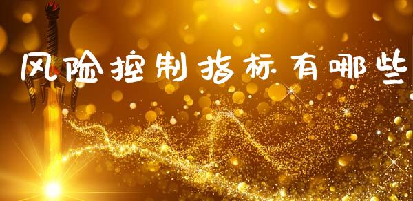 风险控制指标有哪些_https://wap.jnbaishite.cn_全球财富_第1张