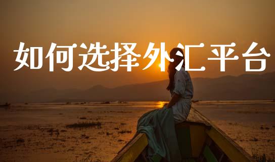 如何选择外汇平台_https://wap.jnbaishite.cn_期货资讯_第1张